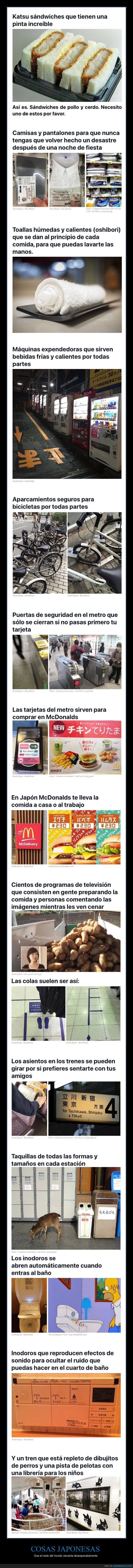 japoneses,japón