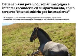 Enlace a Un plan poco meticuloso