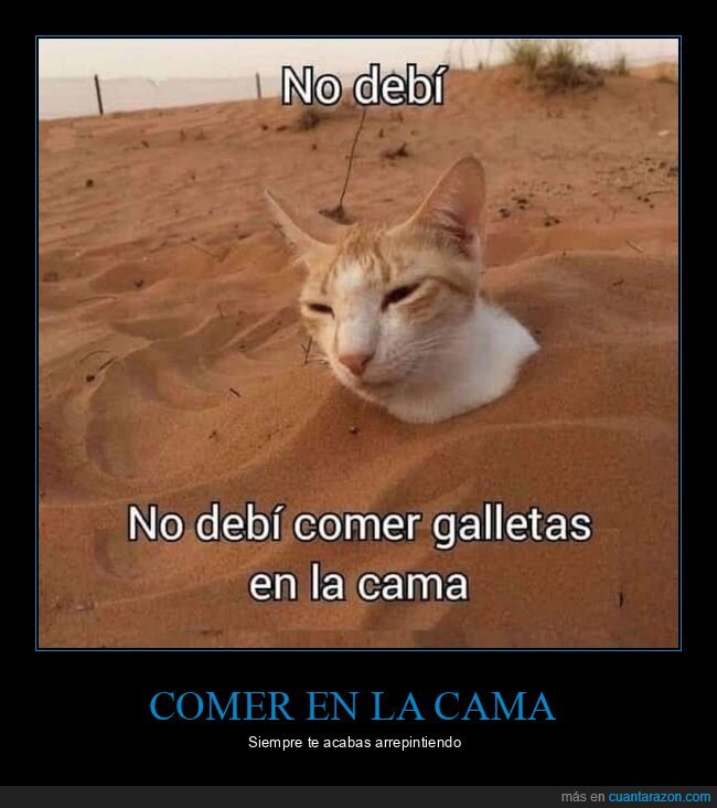 comer,galletas,cama