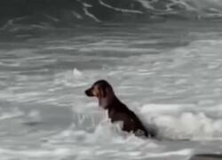 Enlace a ¿Playa o terapia?