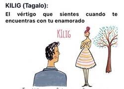 Enlace a Increíbles ilustraciones con palabras de amor de todo el mundo imposibles de traducir