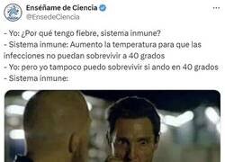 Enlace a Morir matando