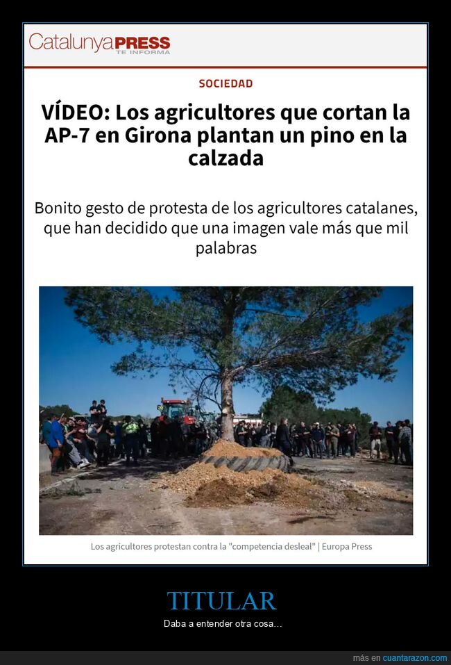 agricultores,plantar un pino