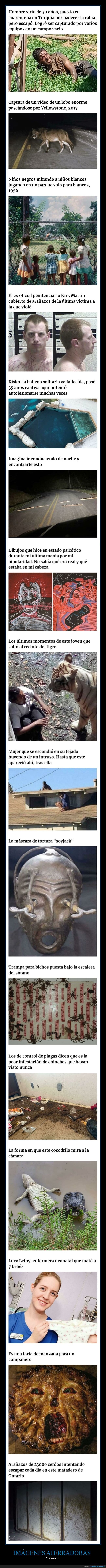 imágenes aterradoras,inquietantes