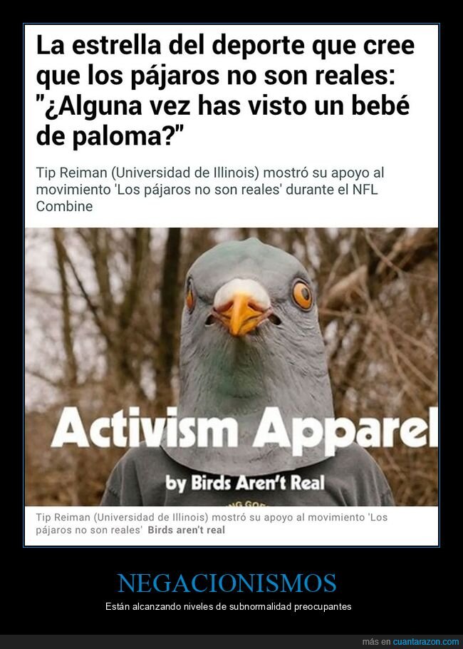 negacionistas,pájaros,reales