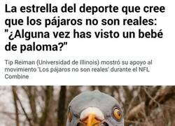 Enlace a No puede haberlo dicho en serio...