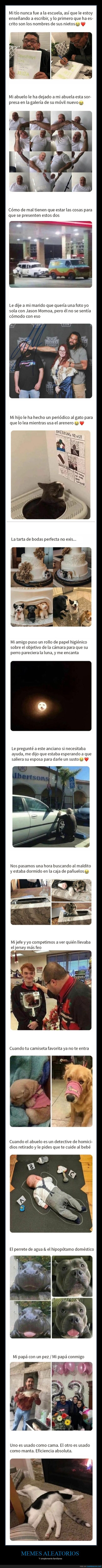 memes aleatorios,familiares