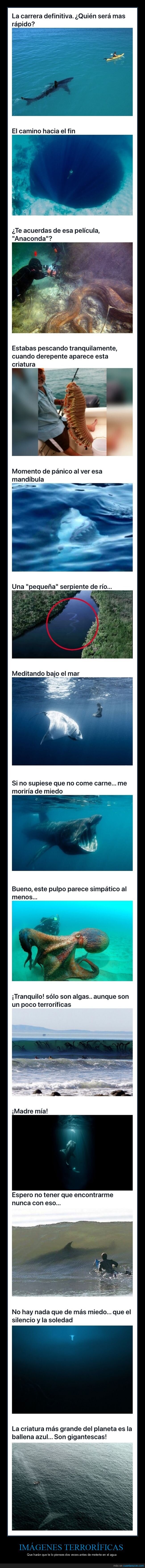 imágenes terroríficas,agua