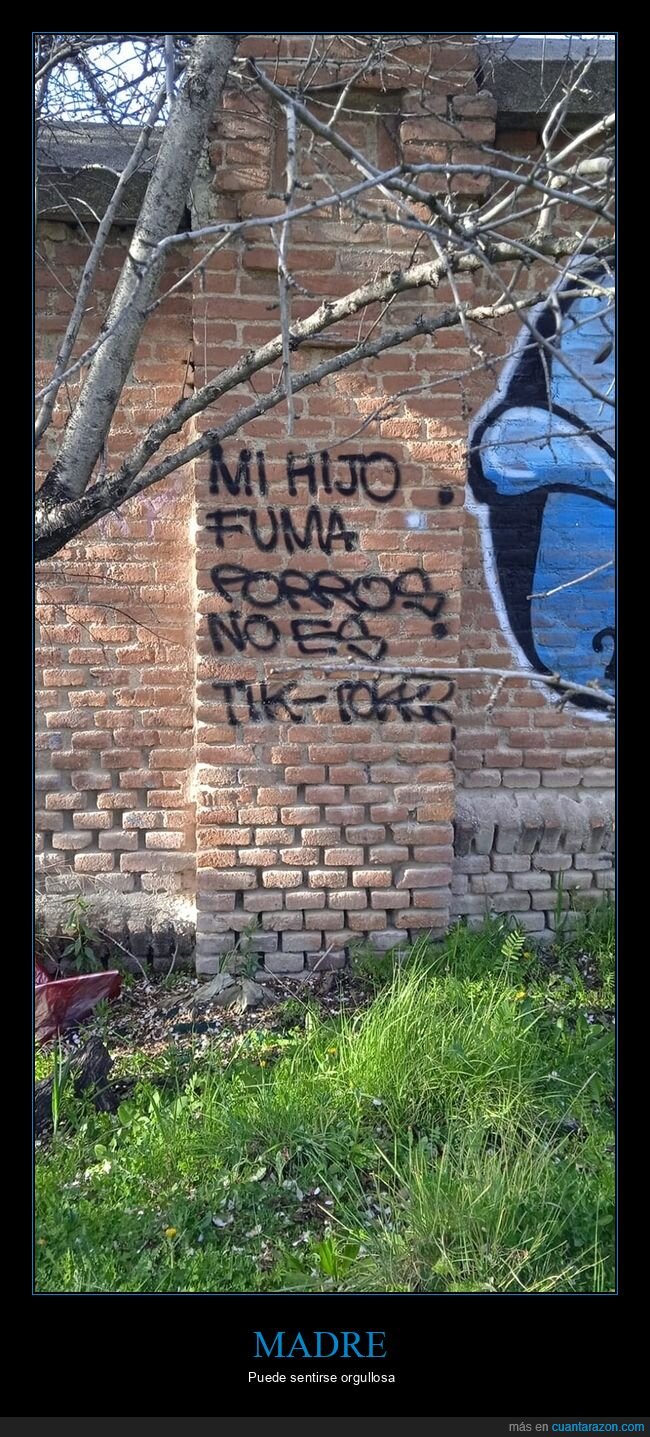 fumar,graffitis,hijo,tiktoker