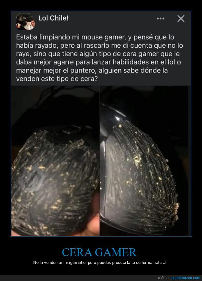 asco,limpiando,ratón,roña