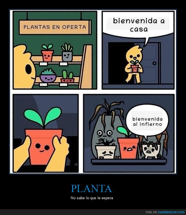 casa,comprar,infierno,plantas