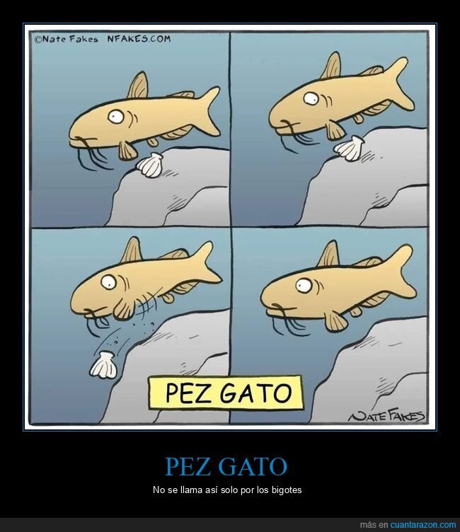 pez gato