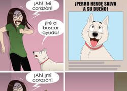 Enlace a Diferencias entre perros y gatos