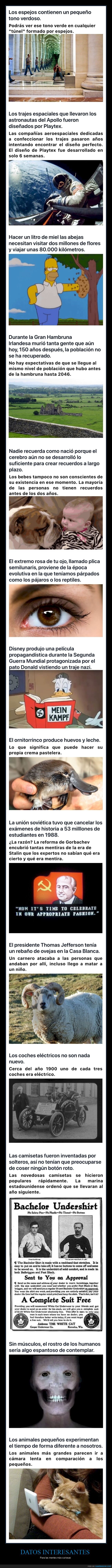 datos interesantes,curiosidades