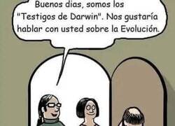 Enlace a En un universo paralelo...