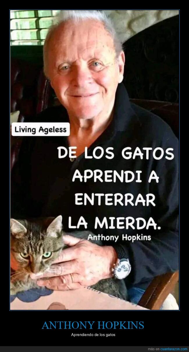 gatos,aprender,anthony hopkins