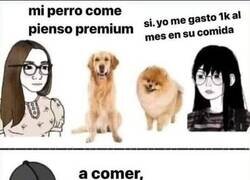 Enlace a Pienso premium