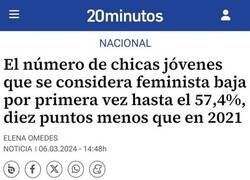 Enlace a Cada vez menos feministas