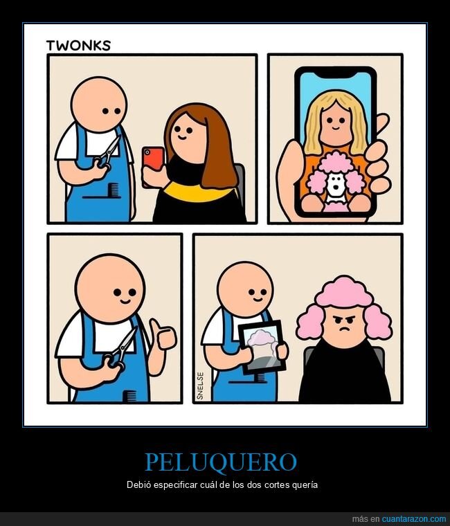 peluquero,corte de pelo,perro