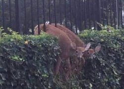 Enlace a Juntos para lo bueno y para lo malo