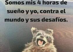 Enlace a No hace falta dormir más