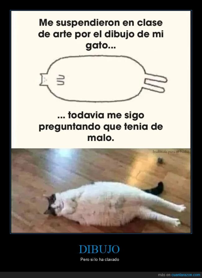 gato,suspender,clase,arte,dibujo