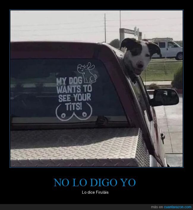 coches,pegatina,perros