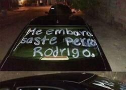 Enlace a Rodrigo va a ser padre