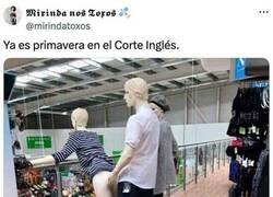 Enlace a La primavera también altera a los aniquíes