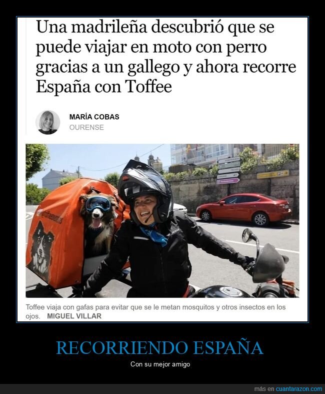 perro,moto,viajar,españa