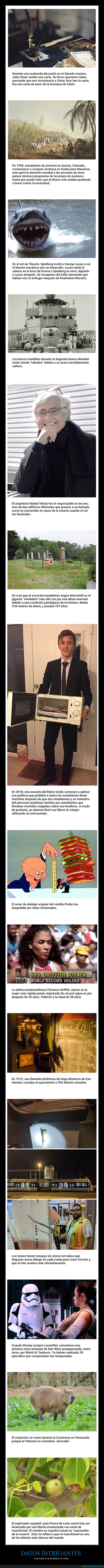 datos intrigantes,curiosidades