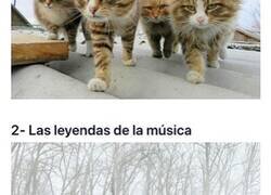 Enlace a Pandillas de animales que parecen que van a sacar la portada del próximo disco de éxito