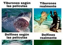 Enlace a El auténtico peligro del mar