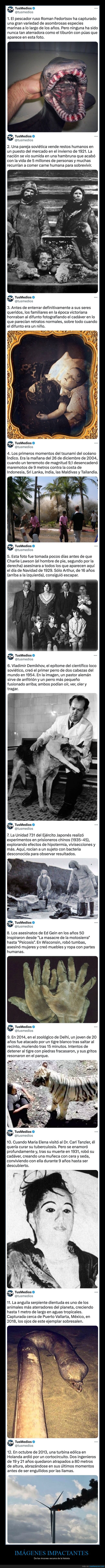 imágenes impactantes,historia