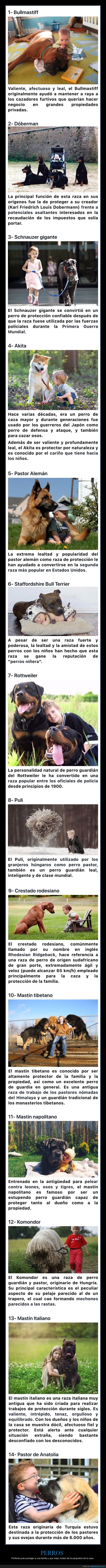 perros,familia,niños