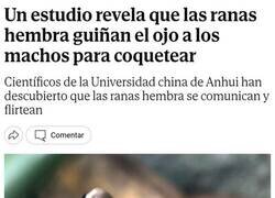 Enlace a Indirectas en el reino animal