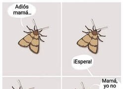 Enlace a Madre preocupada