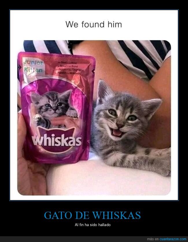 gato,whiskas