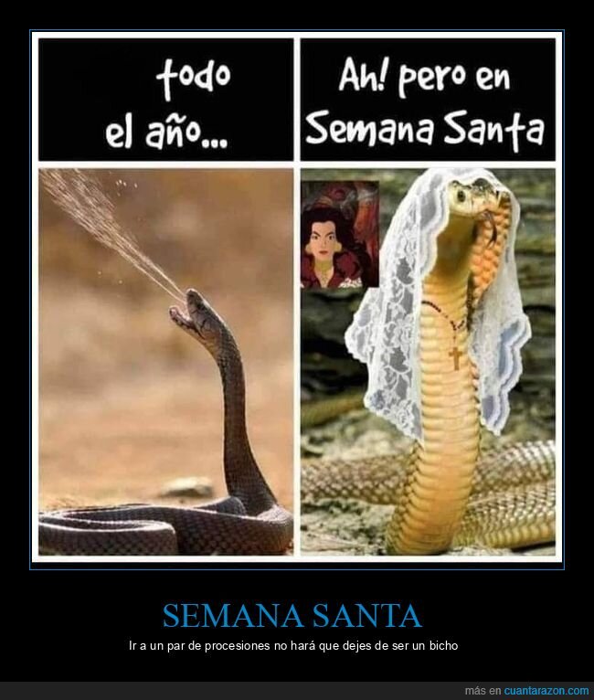 semana santa,cobra