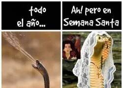 Enlace a Santa solo una semana al año