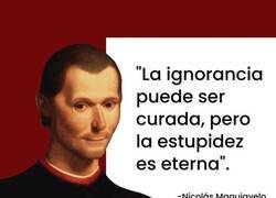 Enlace a Ignorancia VS Estupidez
