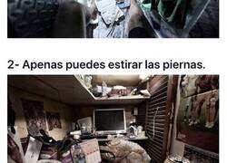 Enlace a Imágenes de las inhumanas condiciones en las que viven las personas en las 