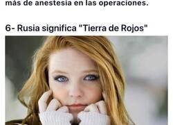 Enlace a 10 Datos curiosos que seguramente no sabías sobre las personas pelirrojas