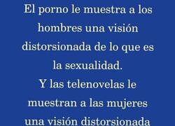 Enlace a Visiones distorsionadas