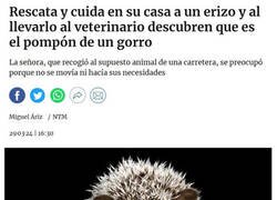 Enlace a Toca ir al oculista...