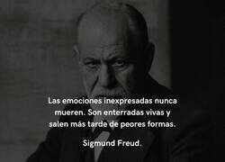 Enlace a Cuidado con las emociones inexpresadas