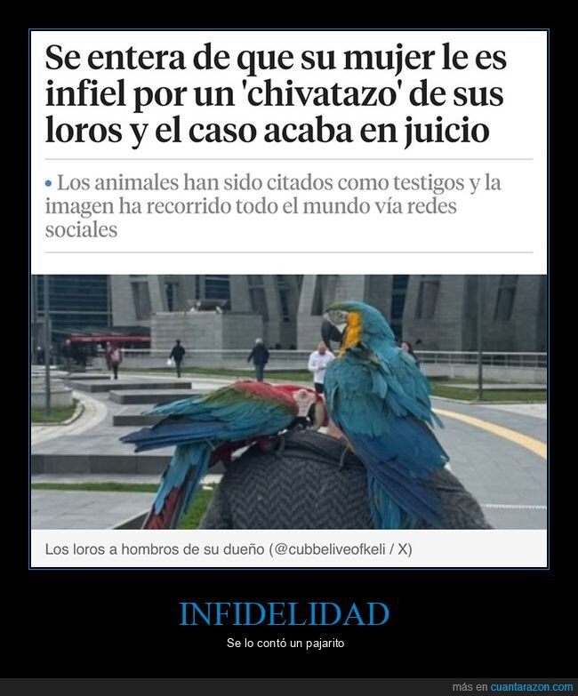 chivatazo,infiel,juicio,loros,mujer