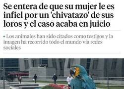 Enlace a Loro delator