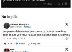 Enlace a Personas que no pillaron la broma y quedaron como tontos en internet