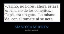 Enlace a Ahora está en un lugar mejor...